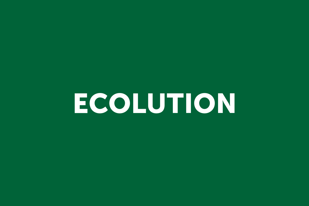 Ecolution-image-27668