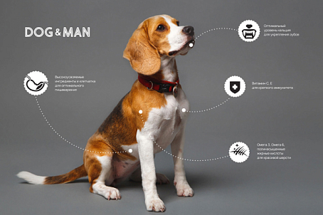 Dog&Man-image-26508
