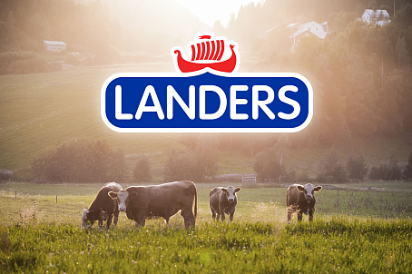 Landers-image-24146