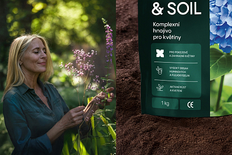 Heart&Soil-image-56545