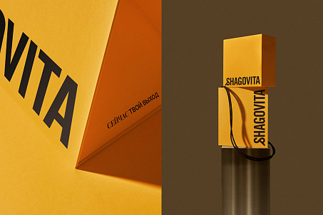 Shagovita-image-57133